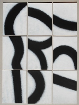 singolo modulo 18,5X25 2013