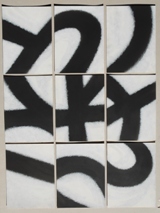 singolo modulo 18,5X25 2013