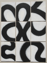 singolo modulo 18,5X25 2013